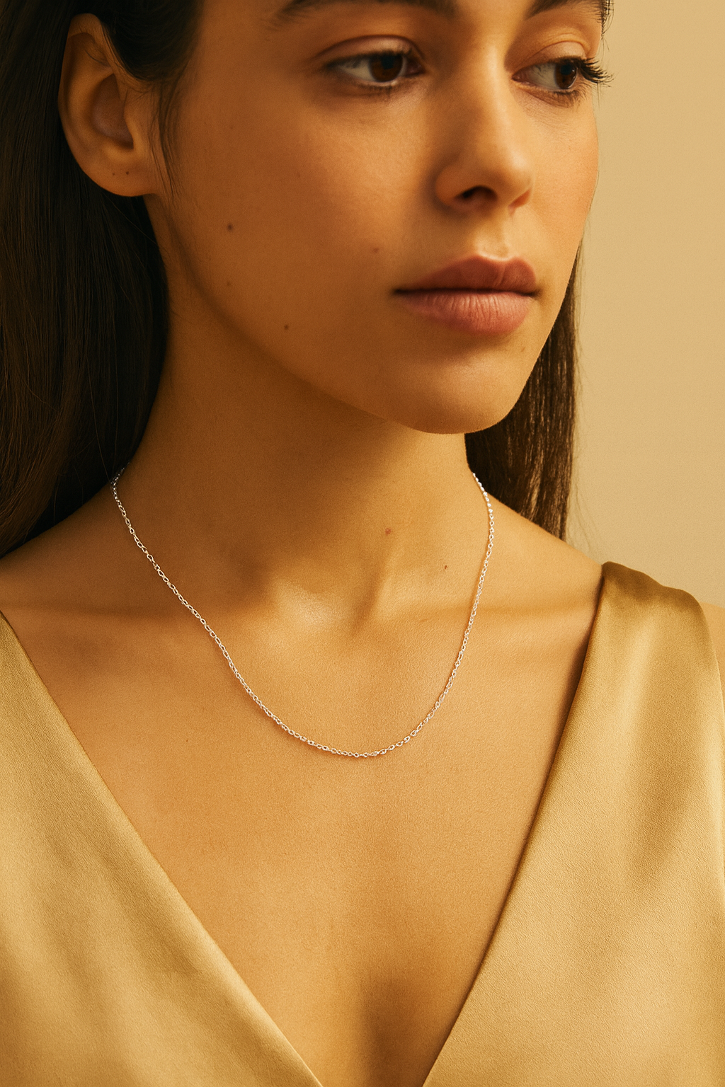 Silver Horizon Chain