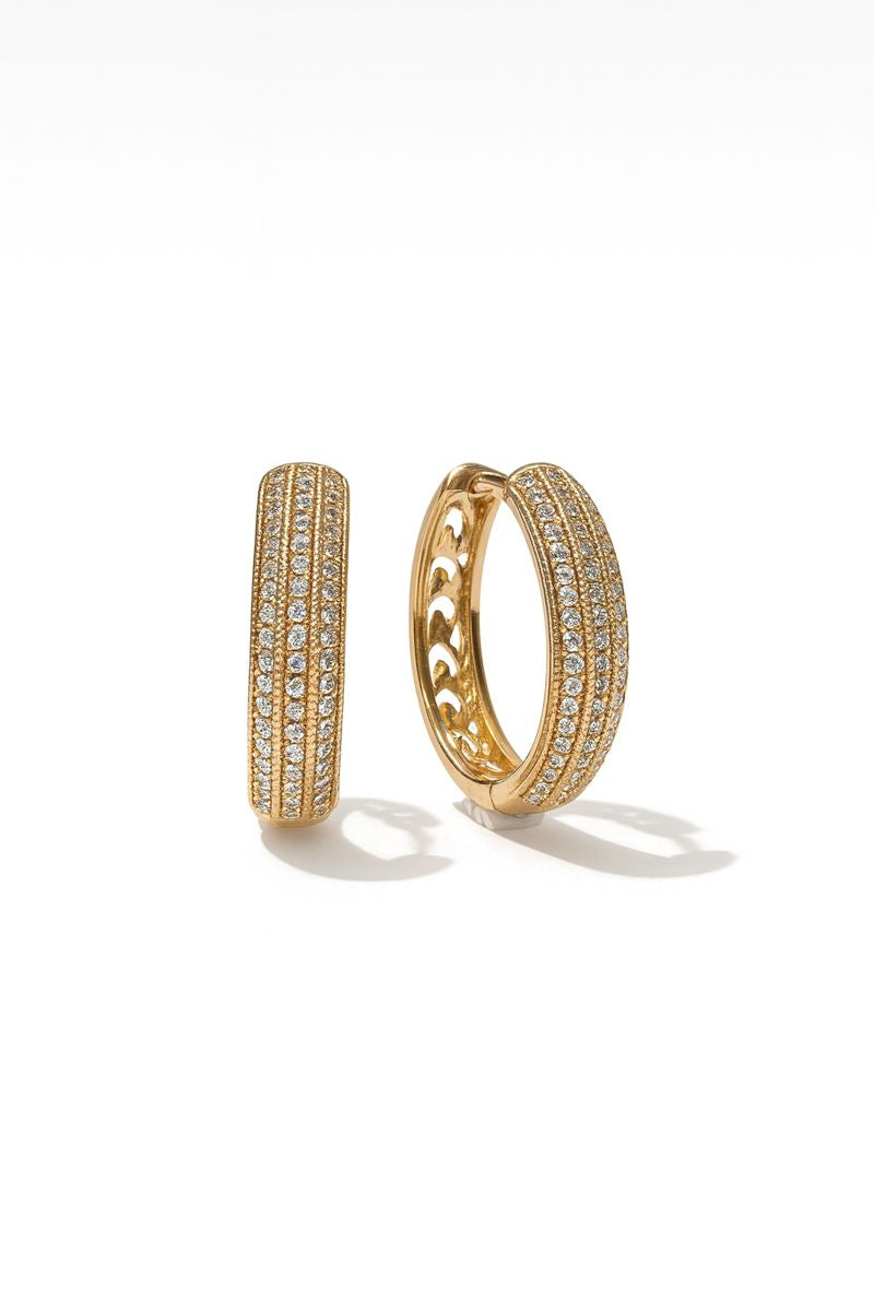 Twinkle Sparkling Hoops