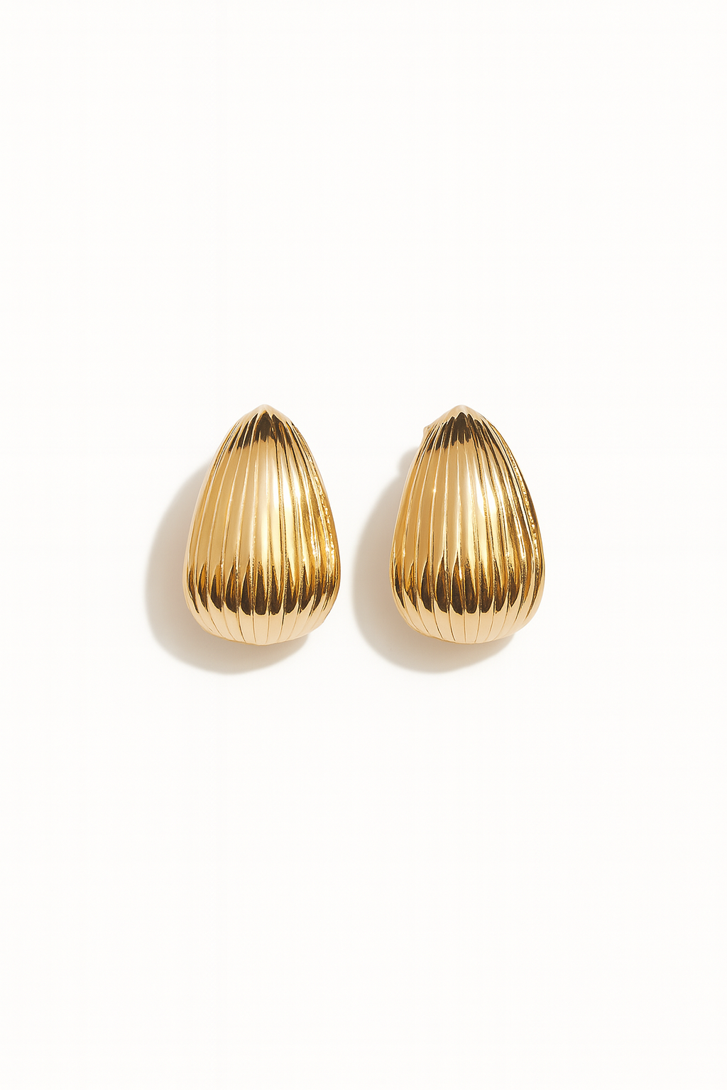 Seashell Earrings