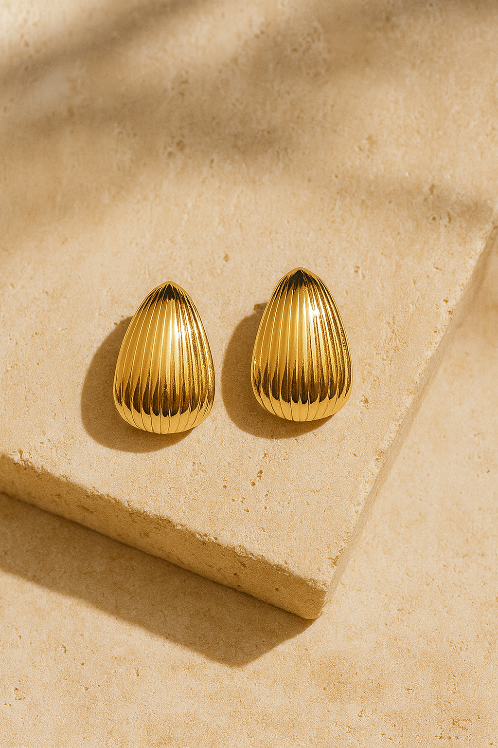 Seashell Earrings